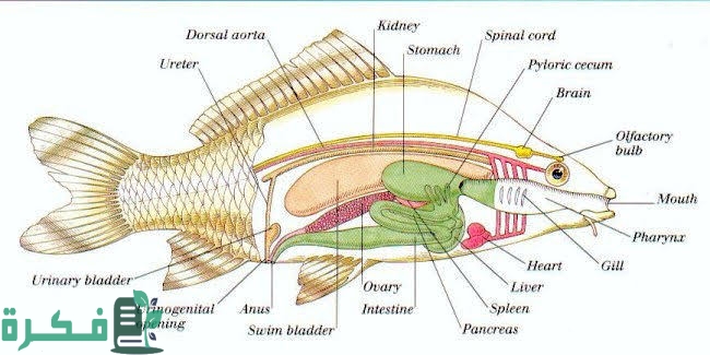 images 2022 09 13T203712.755