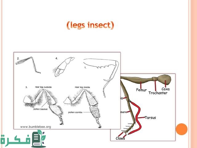 images 2022 09 15T213035.927