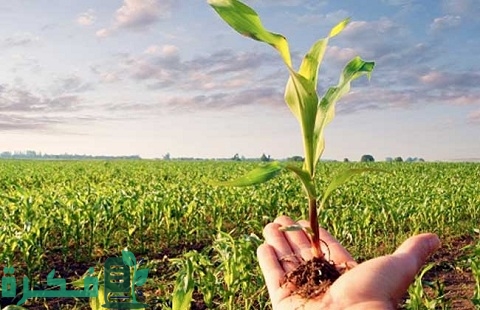 أهم المنتجات العراقية الزراعية والصناعية 2022 والقدرة الإنتاجية لهم