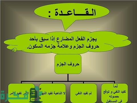 الحروف التي تجزم الفعل المضارع