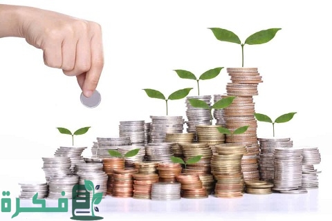 ما هو أفضل مشروع تجاري صغير في مصر الآن