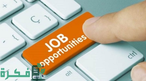وظائف خالية في بنك CIB البنك التجاري الدولي (شروط وطريقة التقديم)