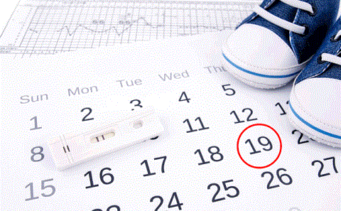 هل توجد علامات لنزول البويضة للحمل بولد