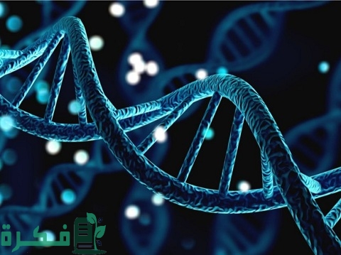 نسبة تطابق ال DNA بين الأخوة