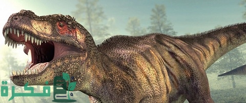 ماذا يخسر البشر عندما تنقرض الحيوانات