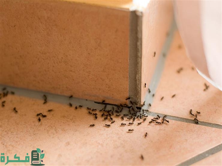 أنواع الحسد في الاسلام