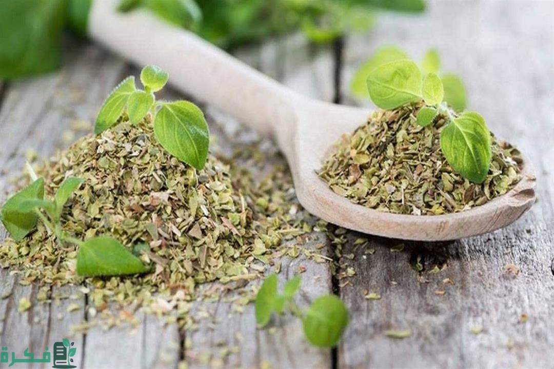 هل من المفيد تناول البردقوش لارتفاع هرمون FSH هل من المفيد تناول البردقوش لارتفاع هرمون FSH