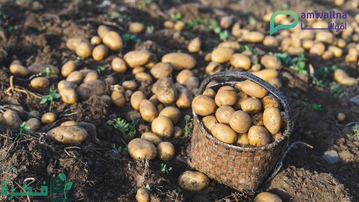 483ACBF7 6B32 4B2E 8C52 834C158927CA