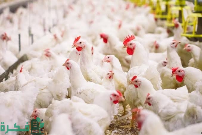 images 2022 10 11T222658.842