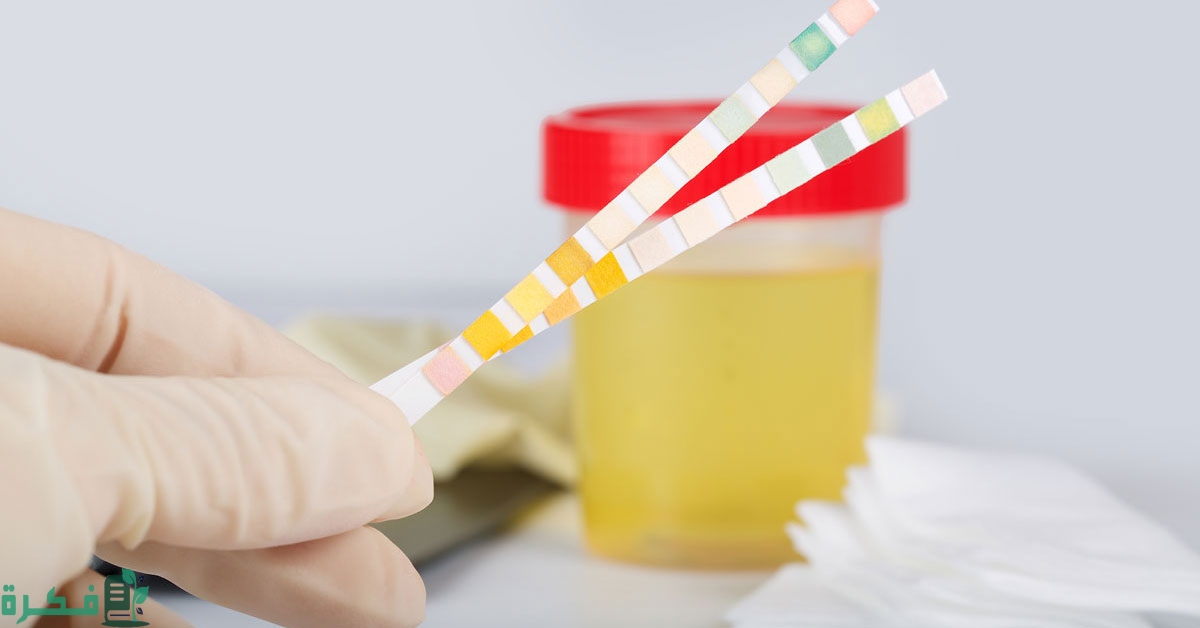 tbl articles article 21234 3521200c25d 90c4 4f16 88b4 031ff39d97ec