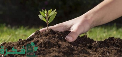 أفضل تربة للزراعة في المنزل