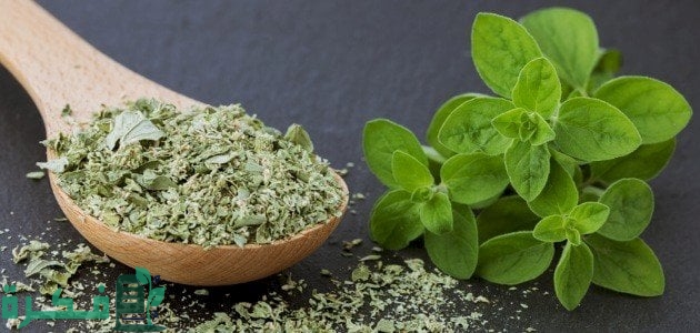 هل من المفيد تناول البردقوش لارتفاع هرمون FSH هل من المفيد تناول البردقوش لارتفاع هرمون FSH