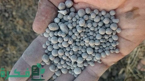 ما الفرق بين سوبر فوسفات الأحادي والثلاثي وأهم فوائده للنباتات