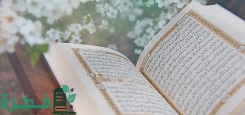 ما هو المد العارض للسكون