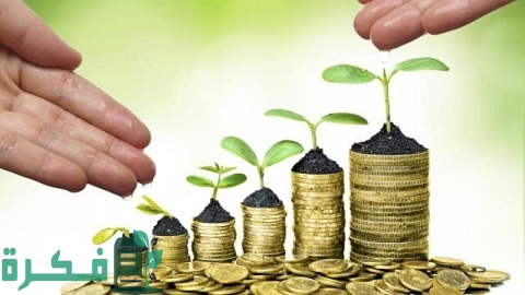 ما هي السلع الاستثمارية