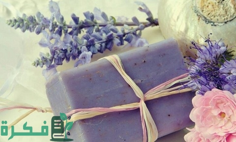 دراسة جدوى مصنع صابون تواليت