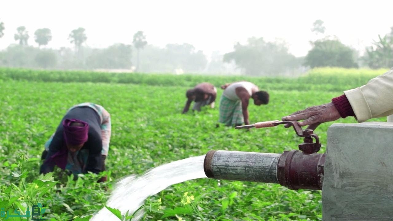 الاهمية الاستراتيجية لقطاع الزراعة السوداني