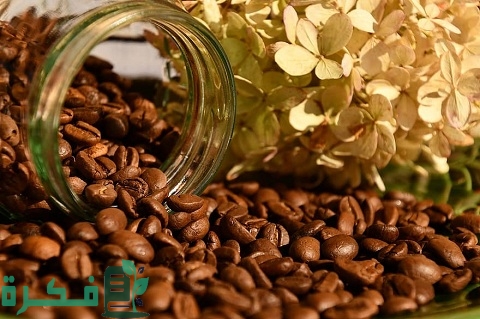 مشروع مطحنة بن ومحمصة بالتفصيل