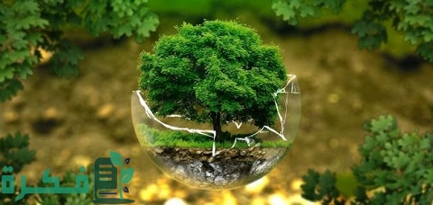 أقسام الدراسات البيئية وفرص العمل بها