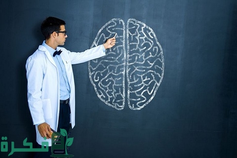 كيف تساهم اللغة في تطوير العلم