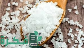 A2869044 E90F 4ACE 8C38 439AFD8D1CCC