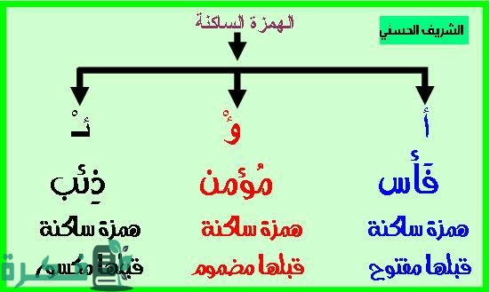 E8F1AE7C 907E 47CD BC0B E4420D086B04