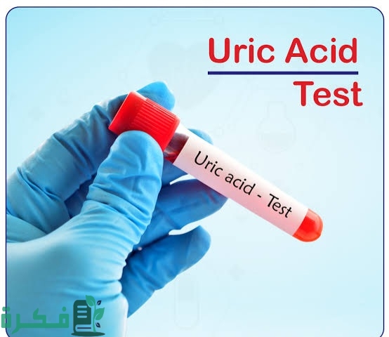 images 2022 11 10T211743.773 1