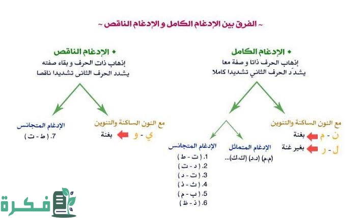 images 2022 11 16T211943.992