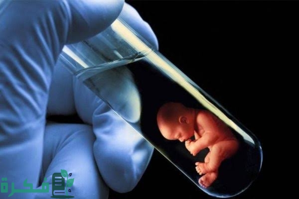 تجربتي مع تحديد نوع الجنين تجربتي مع تحديد نوع الجنين