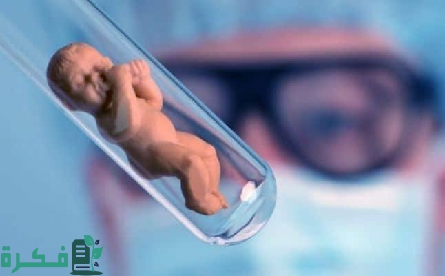 تجربتي مع تحديد نوع الجنين تجربتي مع تحديد نوع الجنين