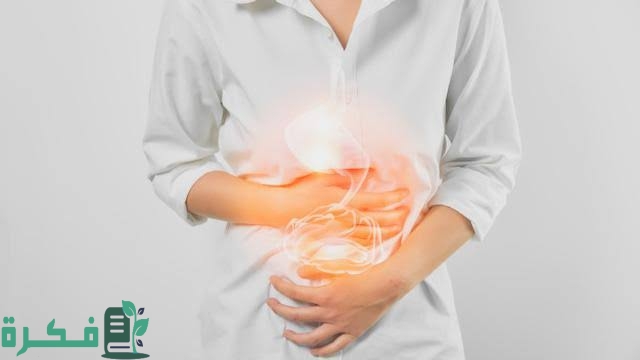 images 2022 11 20T221544.367