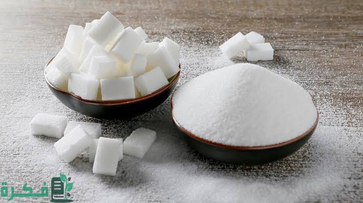 images 2022 11 21T221953.301