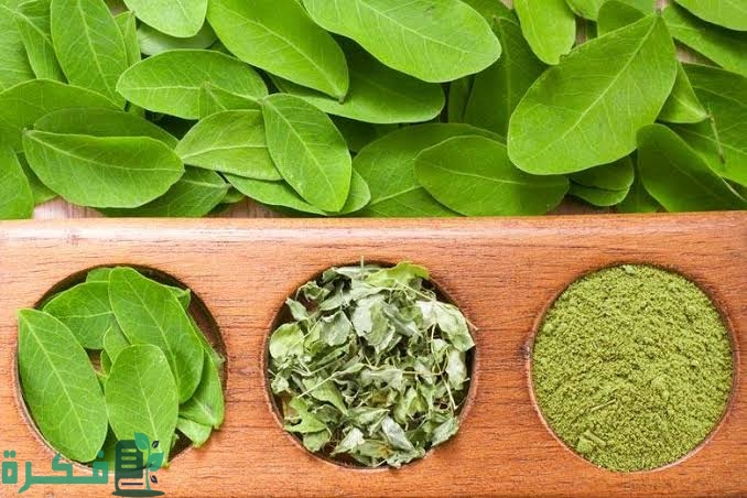 تجربتي مع المورينجا للسكر 3 images 2022 11 27T212634.565