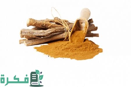 images 2022 11 30T222434.718