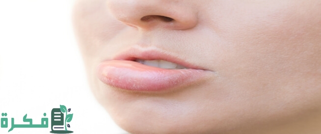 tbl articles article 36454 812b9a63832 1447 4911 a123 6f8e1f5bac36