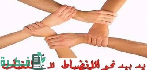 أفكار للحد من غياب الطالبات