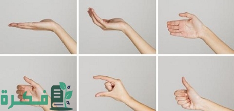 الحروف والأرقام بلغة الإشارة