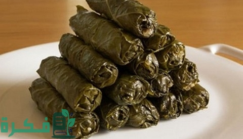 تجربتي مع مشروع ورق العنب