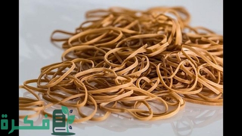 دراسة جدوى مشروع أستك الفلوس