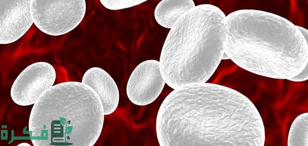 علاج ارتفاع كريات الدم البي
