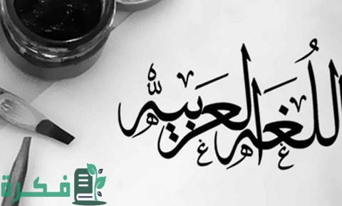 كيف نحمي اللغة العربية من الضياع
