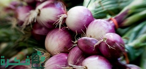 كيفية تخزين البصل بعد الحصاد