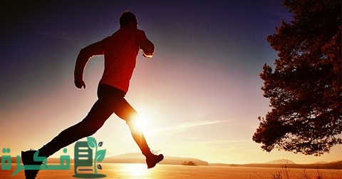 مفهوم التربية الرياضية وأهميتها