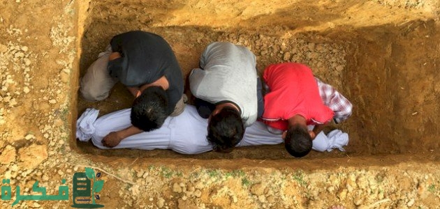 من أين يأتي الدود الذي يأكل الميت ؟