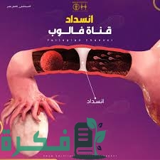 0C0677EC 4C24 4EBB 8021 6597D9088EEF