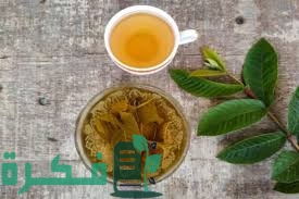 7BAD1E11 444B 461C 84D0 649B4209B048