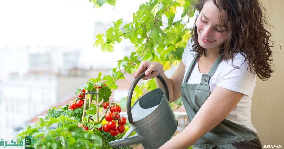 طرق زراعة الخضروات في المنزل