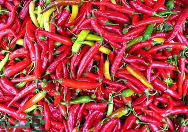أنواع الفلفل الحار