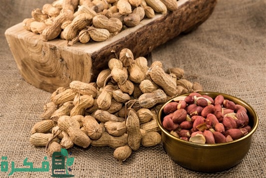 أفضل أنواع الفول للتجارة والربح