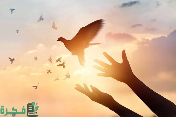 F73BC937 DFA4 46BE 8BEC 1574FDEC2E42